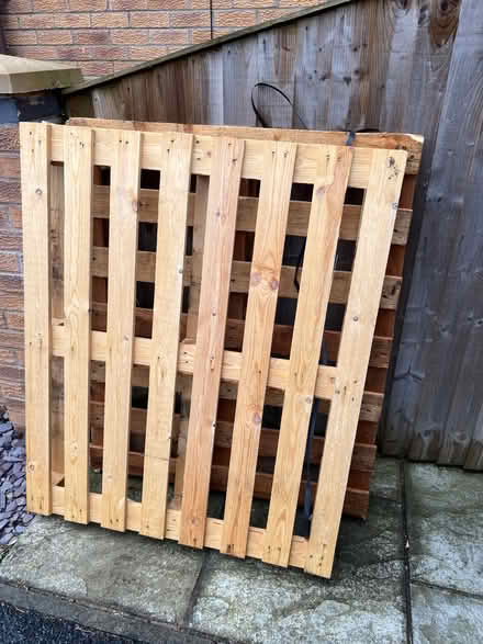 Photo of free 2 pallets (Brooklands, M23) #1