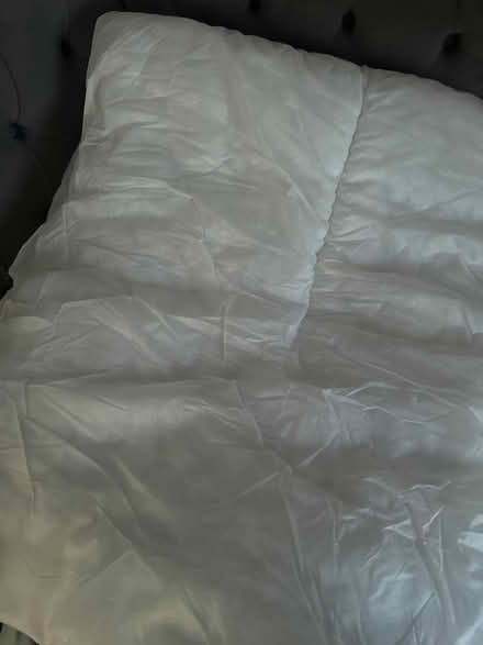 Photo of free Double duvet (N13) #1