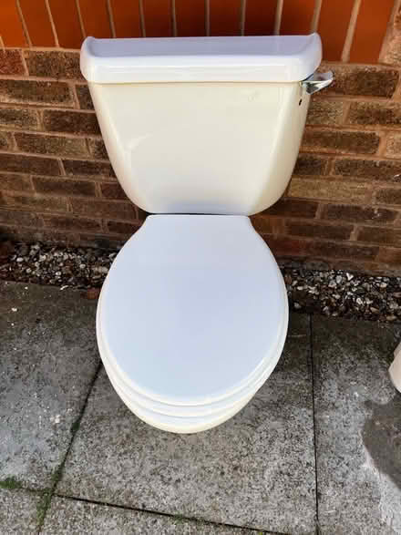 Photo of free Ideal standard toilet (Higher Metcombe EX11) #1