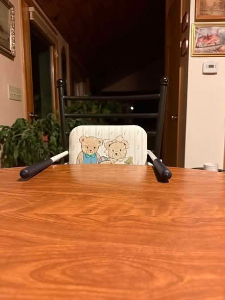 Photo of free Clip-on high chair (Amherst) #2