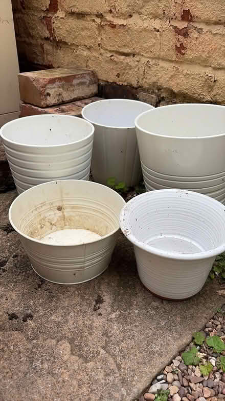 Photo of free S/M plant pots white Ikea (West Bridgford NG2) #1