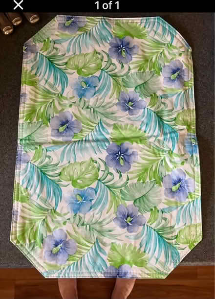 Photo of free Easy Clean Placemats--4 (SE Massillon) #1