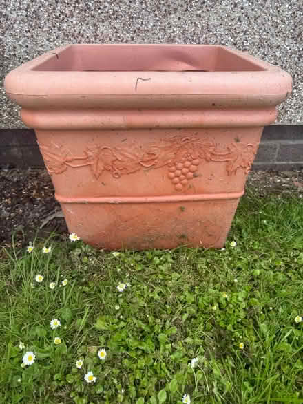 Photo of free Large plant pot (Kingswood Bristol BS15) #2