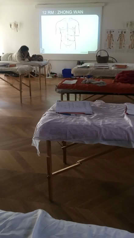 Photo of Massage Table (Evergreen) #1