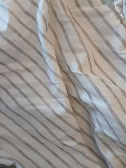 Photo of free king-size and single bedding (UB5) #1