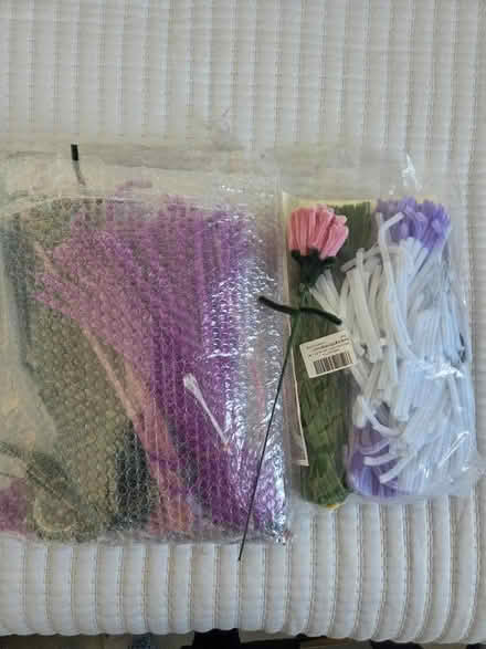 Photo of free Pipe Cleaner flower making kit (Henleaze BS9) #1