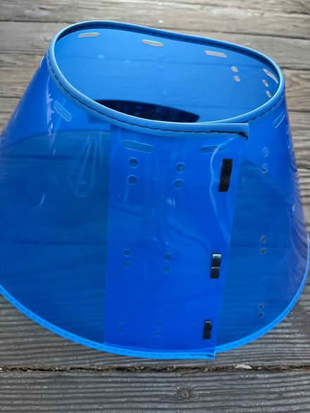 Photo of free Adjustable size calm Dog collar XL (Latham Street) #2