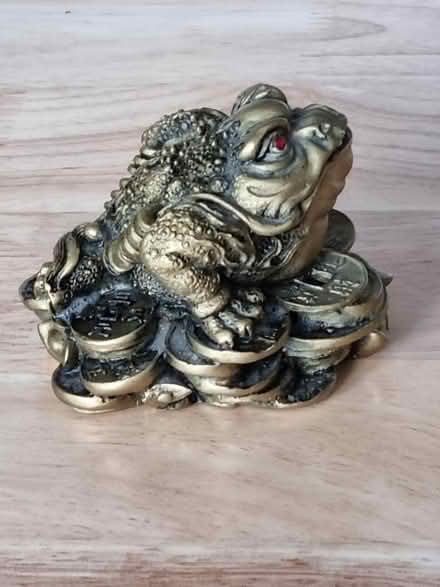 Photo of free 3 Legged Toad see details (Fiveways Brighton) #1