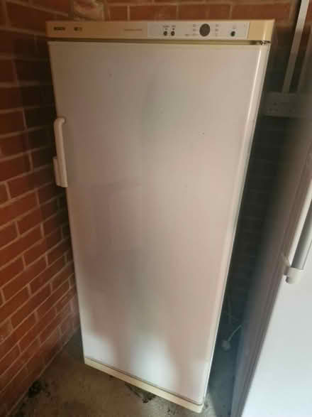 Photo of free Bosch upright freezer (IP19) #1