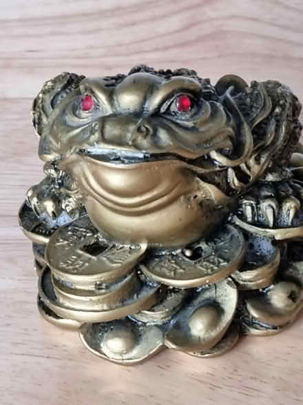 Photo of free 3 Legged Toad see details (Fiveways Brighton) #3