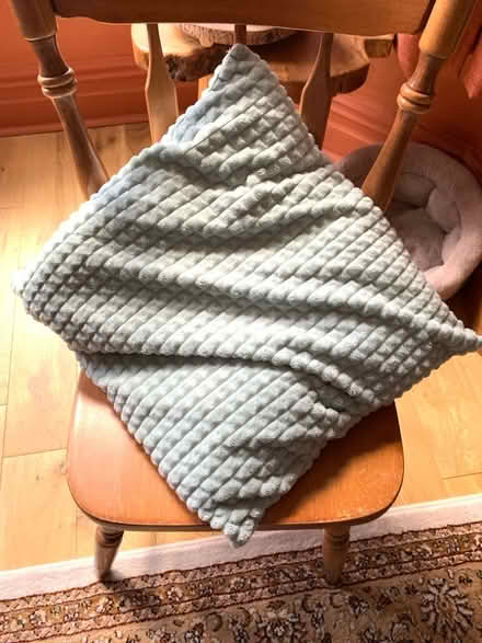 Photo of free Cushions duck egg blue x5 (Southport PR8) #1