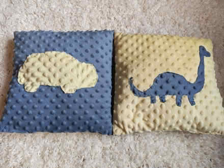 Photo of free Pair of small cushions (Townhill Park/West End SO18) #1