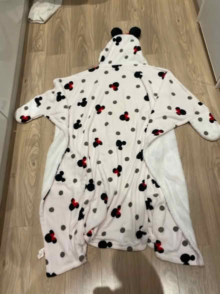 Photo of free Minnie Mouse blanket (Badger Farm) #1