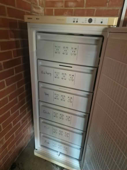 Photo of free Bosch upright freezer (IP19) #2