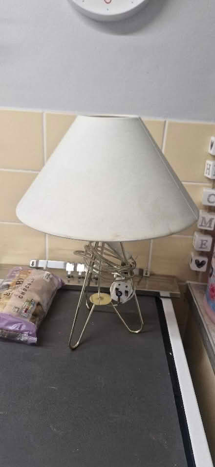 Photo of free Lamp (Hanworth RG12) #1