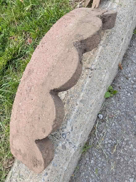 Photo of free Misc garden (Montreal road and St Laurent) #3