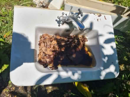 Photo of free White sink with pillar (Ashurst Wood RH19) #1