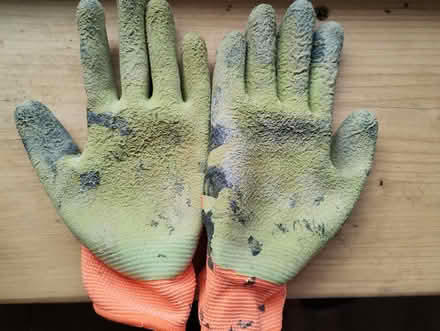 Photo of free Kids gardening gloves (Kingscourt/Lightpill, Stroud) #2