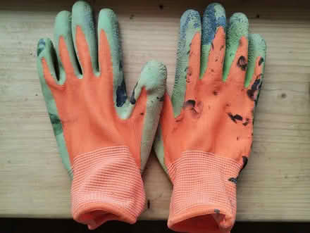 Photo of free Kids gardening gloves (Kingscourt/Lightpill, Stroud) #1