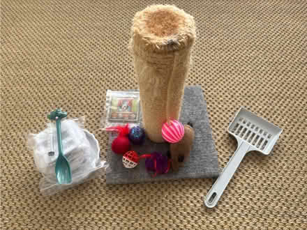 Photo of free Assorted cat toys, bowls and bits (Seven Dials BN1) #1