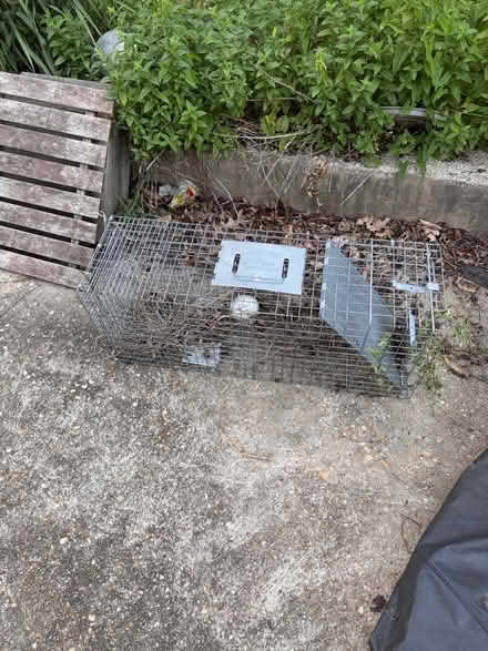 Photo of free Large animal trap (Langdon (20018)) #1