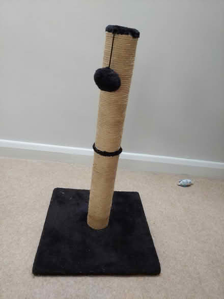 Photo of free Cat catching post (TN13) #1