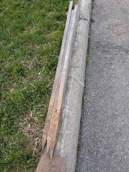 Photo of free Misc garden (Montreal road and St Laurent) #2