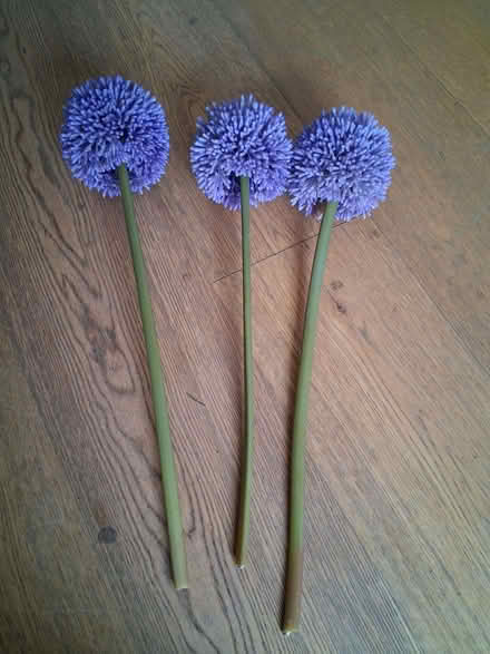 Photo of free 3 plastic flowers (Stroud GL5) #1