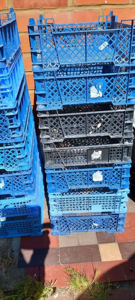 Photo of free Plastic storage crates (Lexden CO3) #3