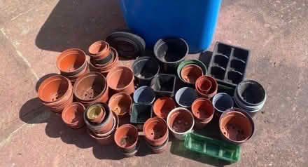 Photo of free Plastic Plant Pots (Orchard Park HU6) #1