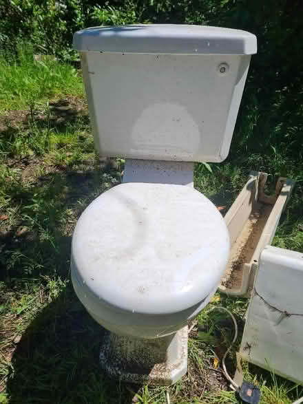 Photo of free White toilet (Ashurst Wood RH19) #1