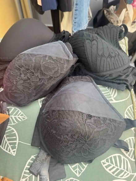 Photo of free Bras (East dulwich SE22) #1