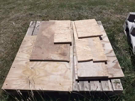 Photo of free ply and osb offcuts (East Blatchington BN25) #1