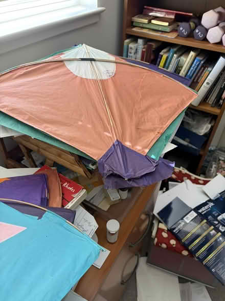 Photo of free a few kites (Prospect and Miller) #1