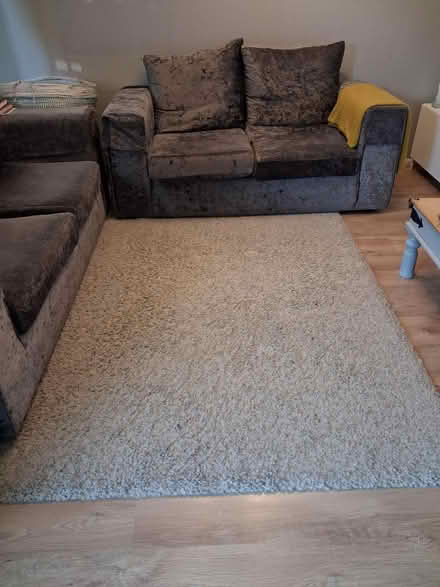 Photo of free Rugs (M217ub) #1