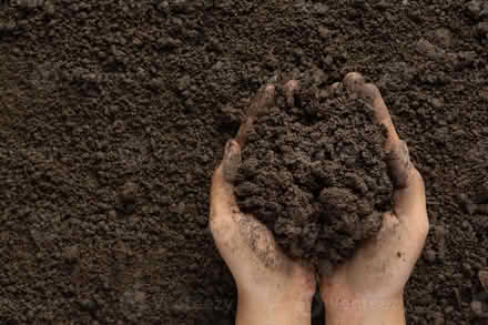 Photo of Soil compost and vase (Reading university) #1