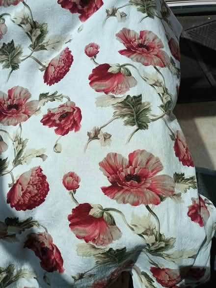 Photo of free pair of curtains (Melksham) #1