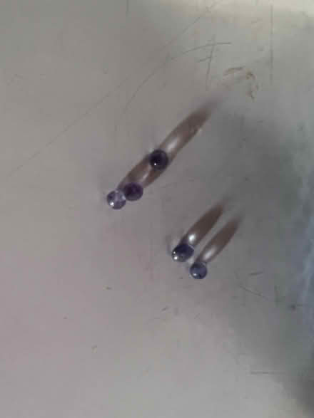 Photo of free Purple decorative filler (Sunnyvale - Ponderosa Park) #2