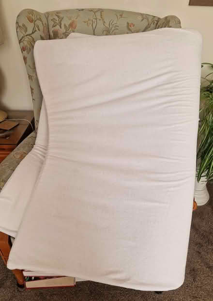 Photo of free Mattress Topper 188cms x 132cms (Shoeburyness (SS3)) #1