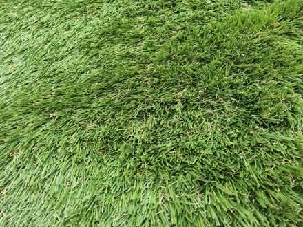 Photo of free Artificial turf 2m x 5m (Wigmore HR6) #2
