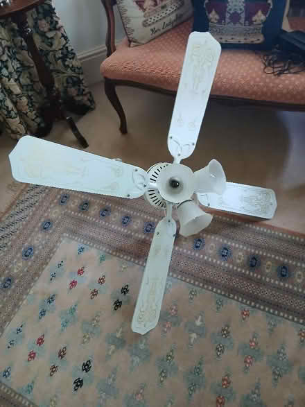 Photo of free Ceiling fan with lights. (Lydbury North SY7) #1