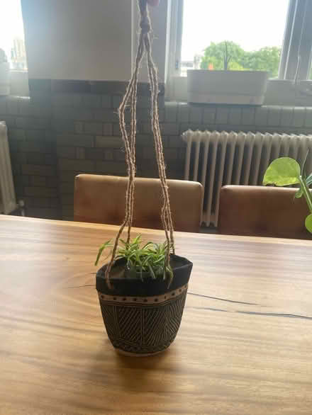 Photo of free Hanging plant holder (Clerkenwell, EC1R) #1