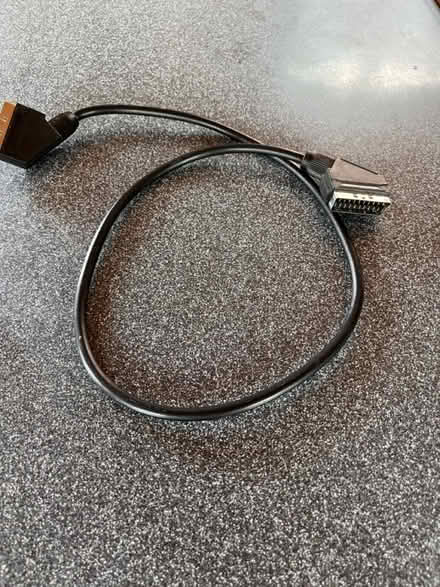 Photo of free Spare scary lead (Notts) #1