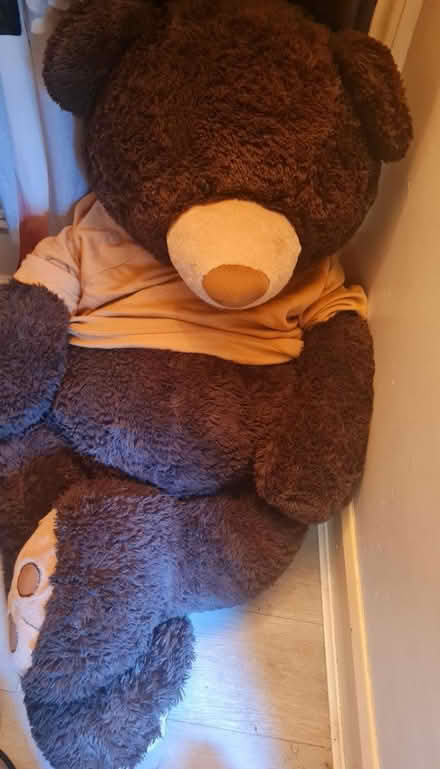 Photo of free Huge Teddy bear 🧸 (Harlesden) #2