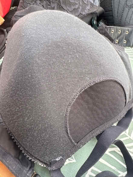 Photo of free Bras (East dulwich SE22) #3