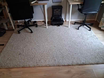 Photo of free Rugs (M217ub) #2