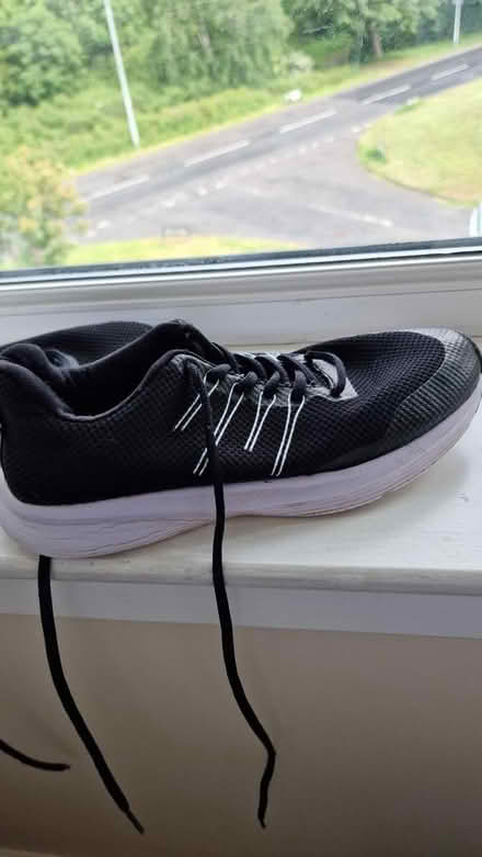 Photo of free Black snickers (Clovenstone EH14) #2