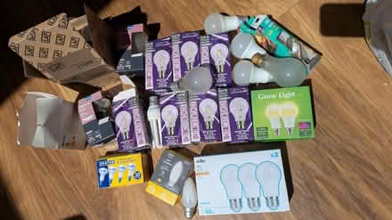 Photo of free Light bulbs (Horsham) #1