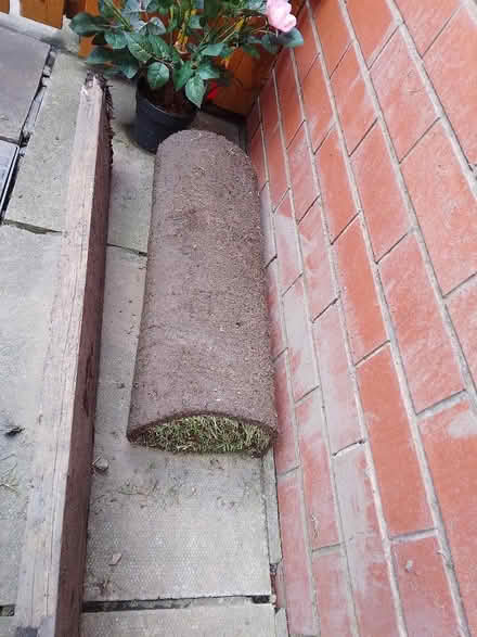 Photo of free 1 roll of fresh grass turf 1m2 (WN3 Ince wigan) #1