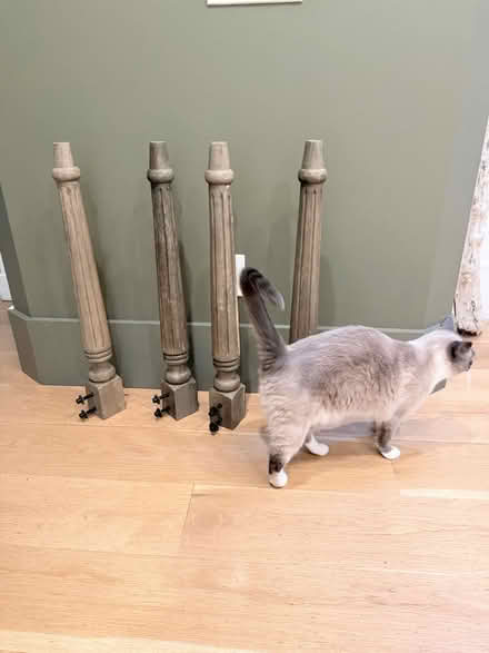 Photo of free Oak table legs (Cambrian near 85/Camden) #3